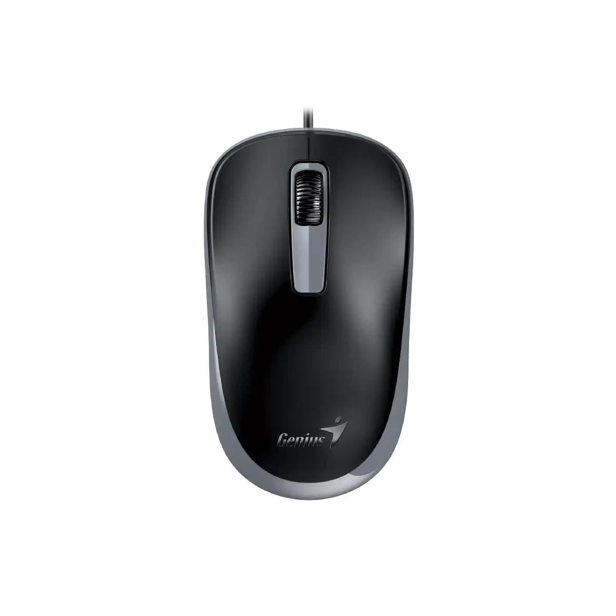 Mouse Genius USB DX-125s Black/Grey