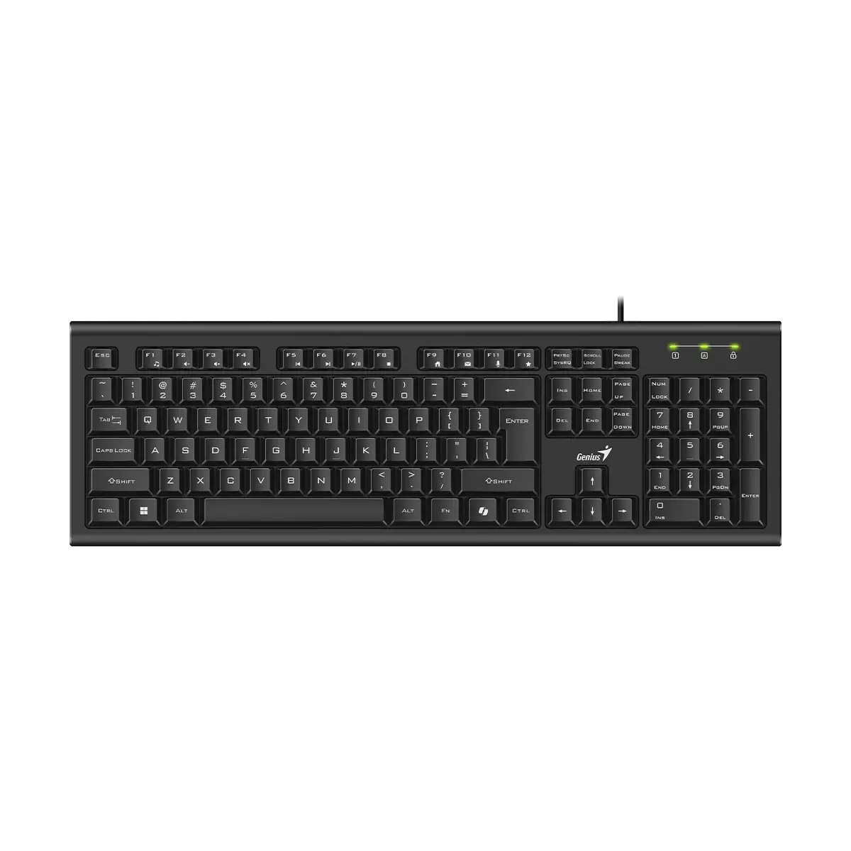 Teclado Genius KB-113 USB Black